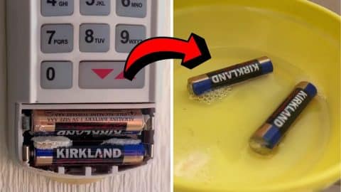 How to Properly Clean Corroded Batteries | DIY Joy Projects and Crafts Ideas
