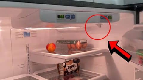 How to Quickly Fix a Fridge That is Not Cooling | DIY Joy Projects and Crafts Ideas