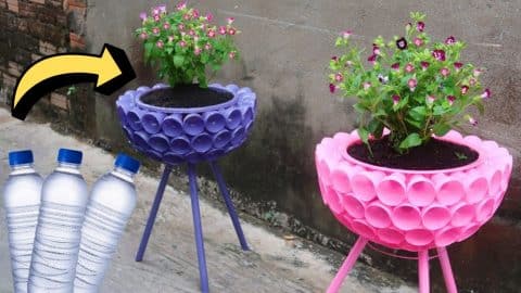 How to Recycle Plastic Bottles Into a Planter | DIY Joy Projects and Crafts Ideas
