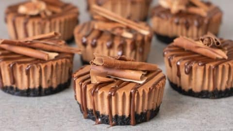 Mini Chocolate Cheesecakes Recipe | DIY Joy Projects and Crafts Ideas