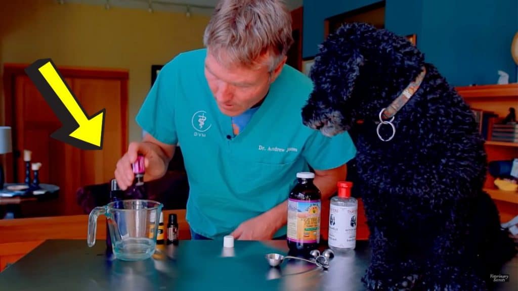 Natural Flea and Tick Spray for Dogs