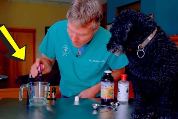 Natural Flea and Tick Spray for Dogs