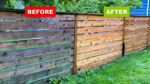 Revive Your Fence in 3 Easy Steps | DIY Joy Projects and Crafts Ideas