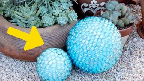DIY Garden Globe with Dollar Store Supplies | DIY Joy Projects and Crafts Ideas