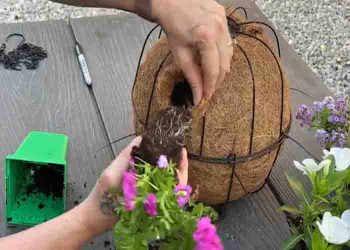 Adding the flowers to the hanging sphere basket