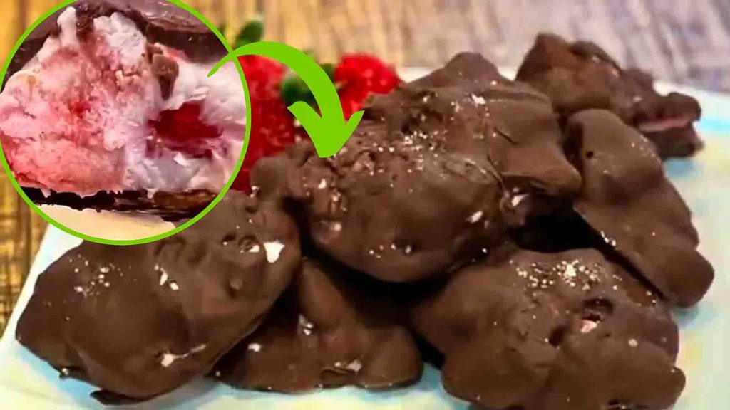 Frozen Yogurt Chocolate Strawberry Bites Recipe
