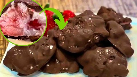 Frozen Yogurt Chocolate Strawberry Bites | DIY Joy Projects and Crafts Ideas