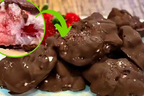 Frozen Yogurt Chocolate Strawberry Bites Recipe