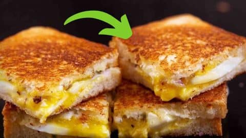 Grilled Egg Mayo Sandwich Recipe | DIY Joy Projects and Crafts Ideas