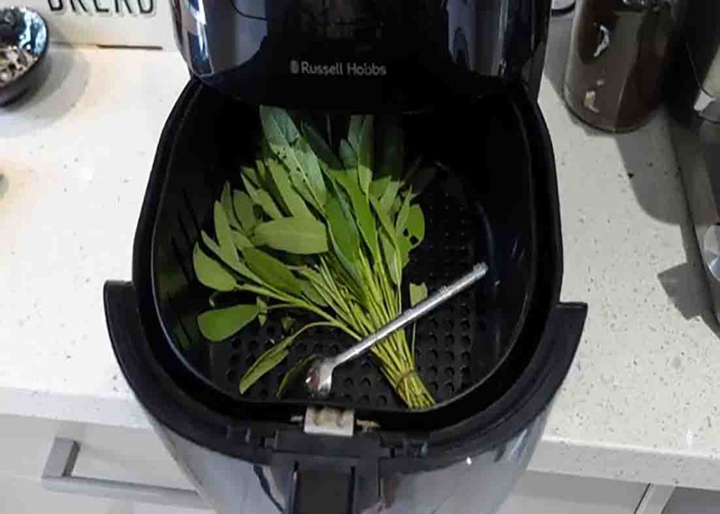 Drying the freshly picked herbs in the air fryer