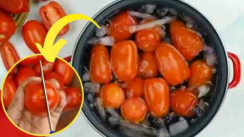 3 Ways On How To Store Your Tomatoes Properly | DIY Joy Projects and Crafts Ideas