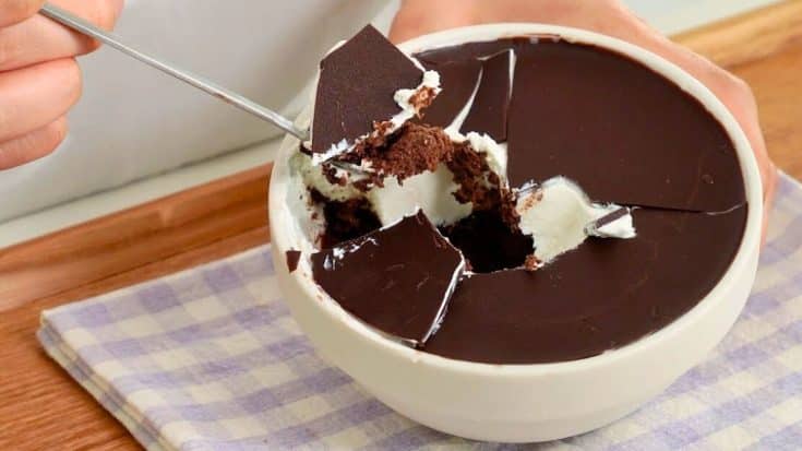 4 Ingredient Chocolate Dessert Recipe Diy Joy