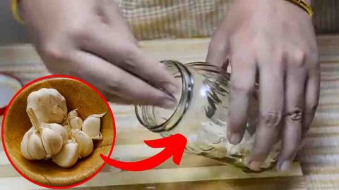 5 Ways to Peel Garlic Fast | DIY Joy Projects and Crafts Ideas