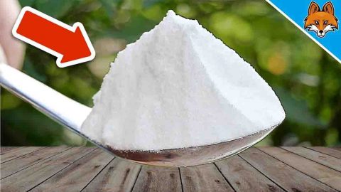 8 Hacks with Baking Soda Everyone Should Know | DIY Joy Projects and Crafts Ideas
