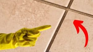 Dirty Grout Whitened in 15 Seconds