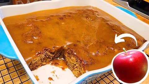 Easy 100-Year-Old Fresh Apple Cake Recipe | DIY Joy Projects and Crafts Ideas