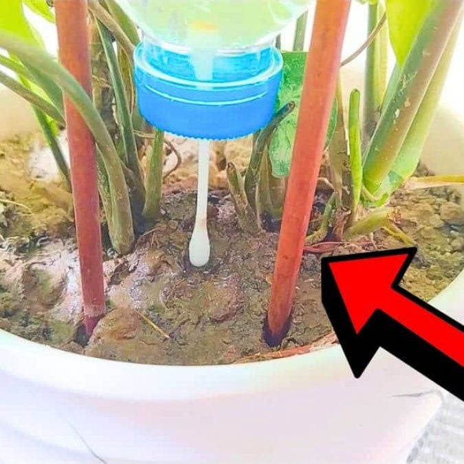 Easy DIY Drip Irrigation System Made Out of Recycled Materials