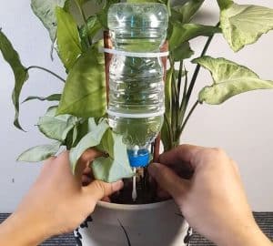 Easy Diy Drip Irrigation System Made Out Of Recycled Materials