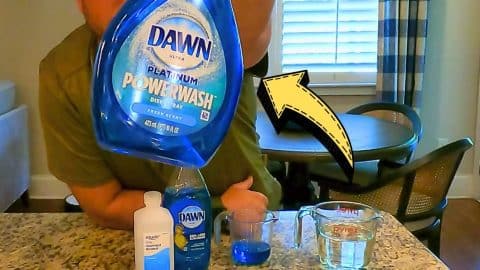 Easy $0.49 Homemade Dawn Powerwash Refill Recipe | DIY Joy Projects and Crafts Ideas