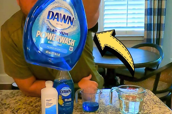 Easy Homemade Dawn Powerwash Refill Recipe