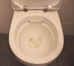 Easy Trick to Unclog Your Toilet With Cling Wrap - DIY Joy