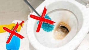 Easy Way to Clean Toilet Bowl Without Scrubbing