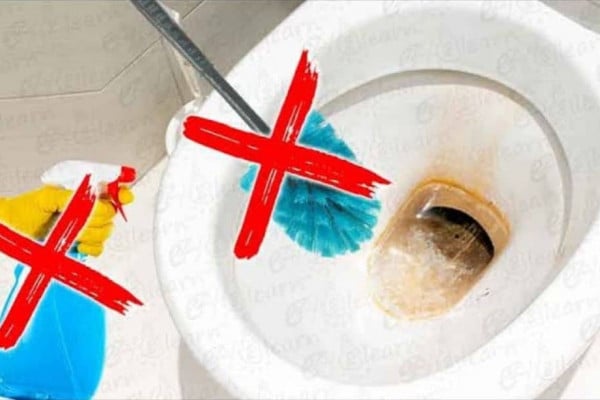 Easy Way to Clean Toilet Bowl Without Scrubbing
