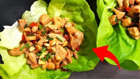 Homemade Chicken Lettuce Wraps | DIY Joy Projects and Crafts Ideas