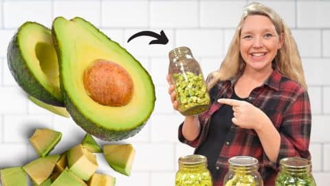 How to Keep Avocados On Your Shelf For Years | DIY Joy Projects and Crafts Ideas