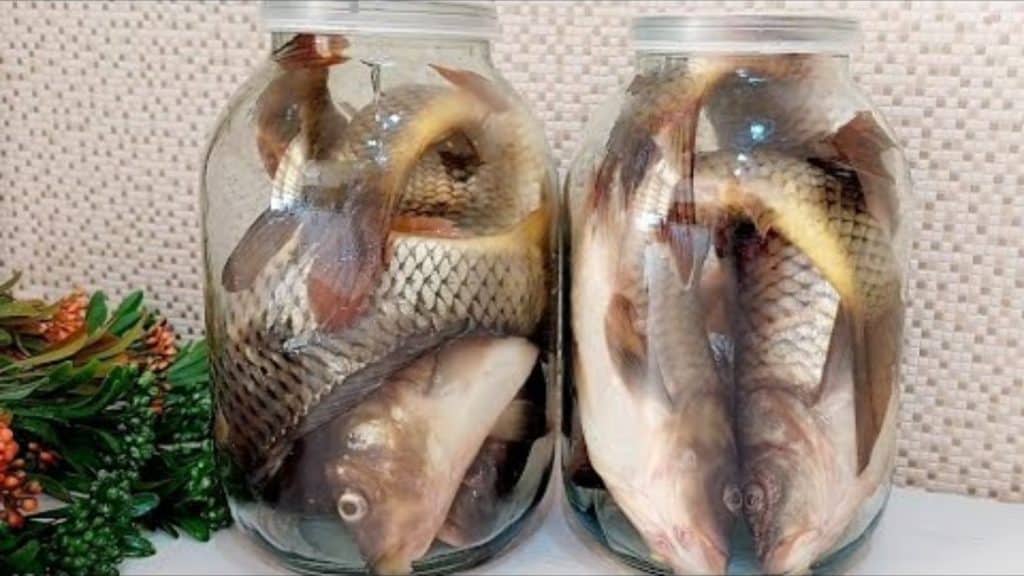 How to Keep Fish Fresh for 1 Year