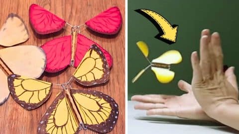 How to Make DIY Escaping Butterfly | DIY Joy Projects and Crafts Ideas