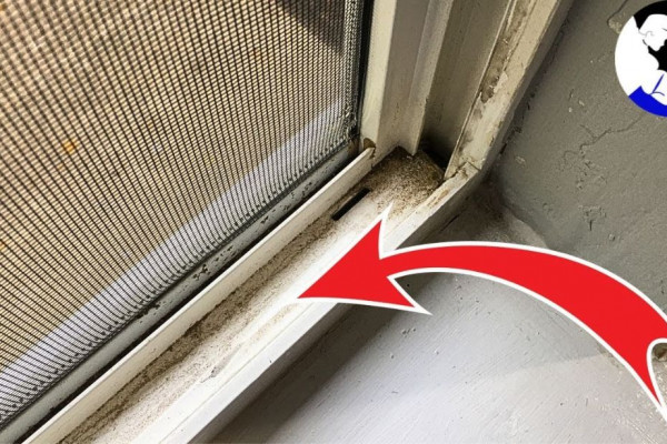 Learn the Easiest Way to Clean Window Tracks