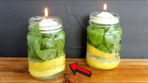 Mosquito Repellent Candles That Actually Work | DIY Joy Projects and Crafts Ideas