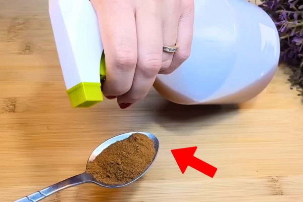 Never See Flies and Mosquitoes Again With This Repellent Spray