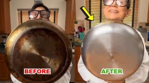 The Best Pan Cleaning Hack Ever | DIY Joy Projects and Crafts Ideas