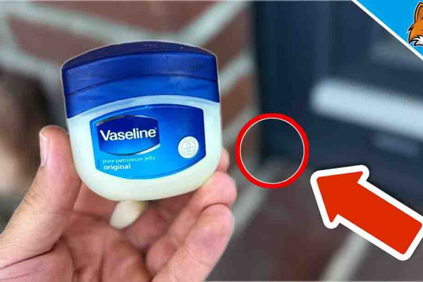 DIY Ant Repellant For Your Home