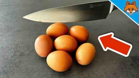 How To Sharpen Knives Using Eggshells | DIY Joy Projects and Crafts Ideas