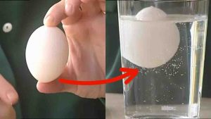 How To Tell If Eggs Are Fresh