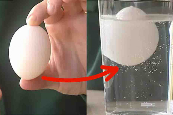 How To Tell If Eggs Are Fresh