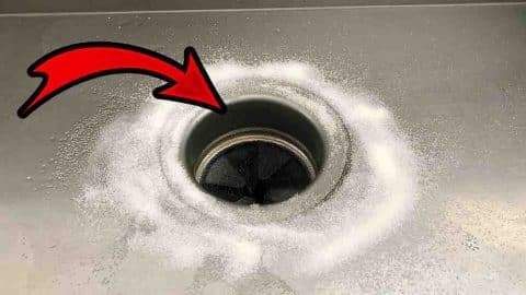 Why You Should Pour Salt Down Your Drain At Night | DIY Joy Projects and Crafts Ideas