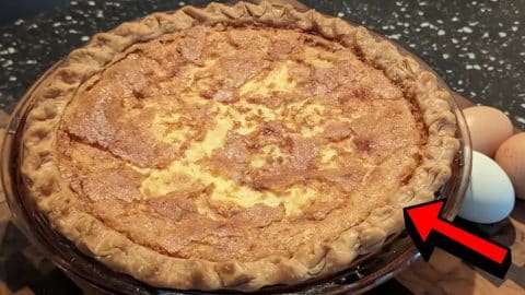 1880 Vintage Deep Dish Custard Pie Recipe | DIY Joy Projects and Crafts Ideas