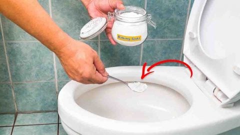 3 Easy Ways to Unclog a Toilet without a Plunger | DIY Joy Projects and Crafts Ideas