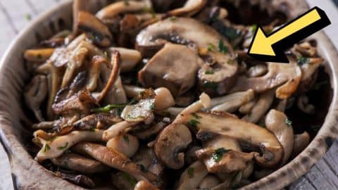 7 Biggest Mistakes When Cooking Mushrooms | DIY Joy Projects and Crafts Ideas