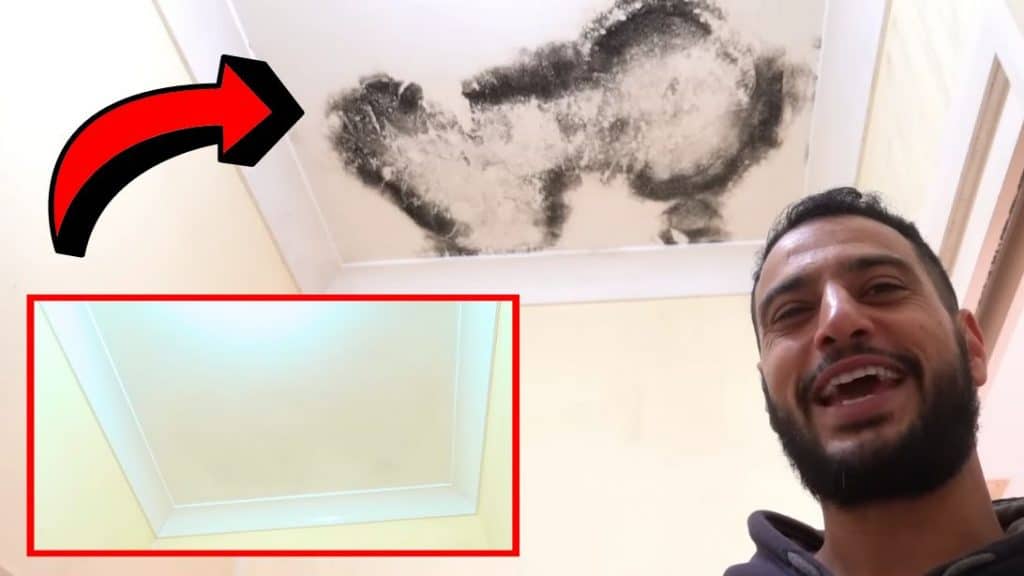 A Quick & Permanent Solution for Recurring Mold