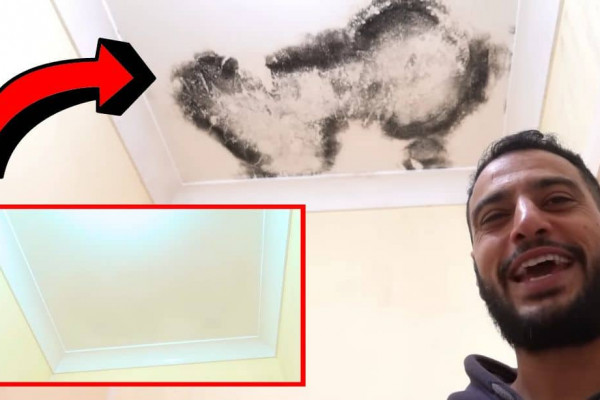 A Quick & Permanent Solution for Recurring Mold