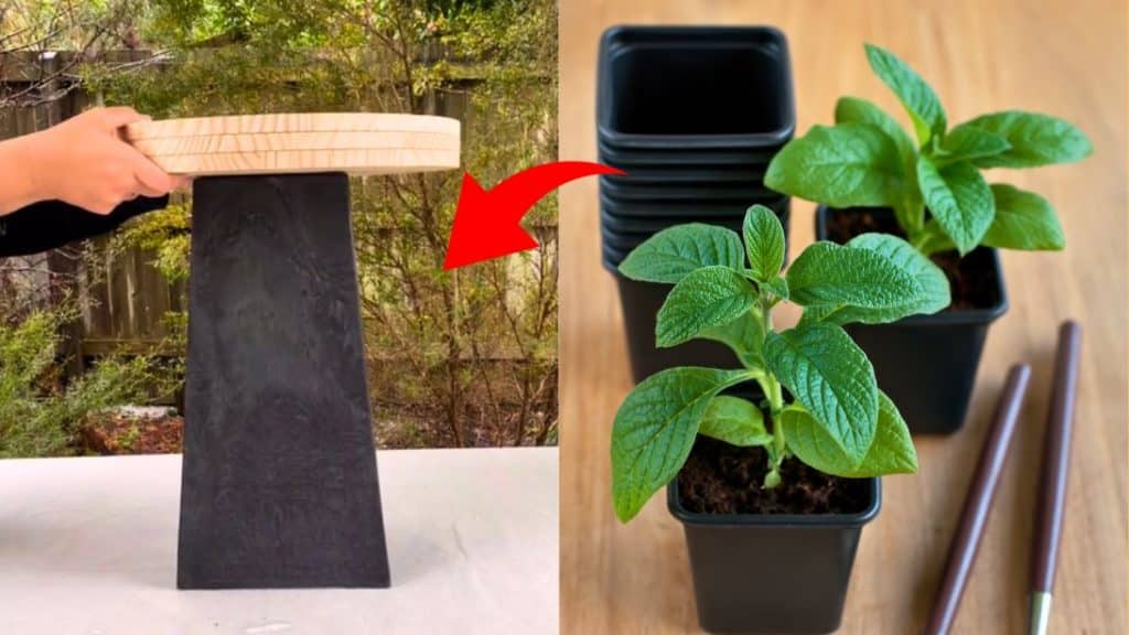 DIY Console Table Using Plant Pots (1)