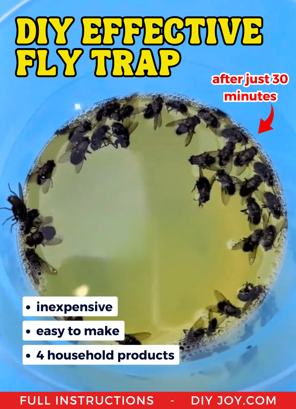 DIY Effective Fly Trap