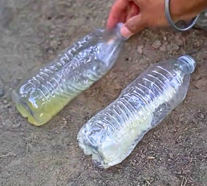 Easy DIY Recycled Ant Trap Tutorial