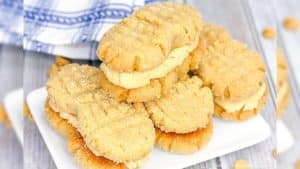 Easy Homemade Nutter Butter Cookies Recipe