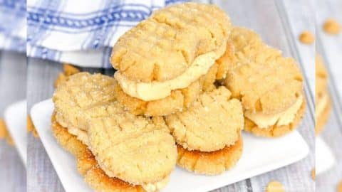 Easy Homemade Nutter Butter Cookies Recipe | DIY Joy Projects and Crafts Ideas